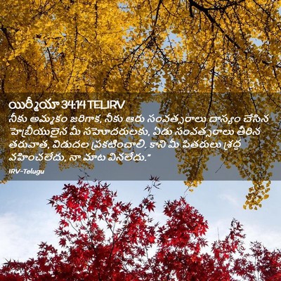 Picture 02 - యిర్మీయా 34:14 TELIRV - నీకు అమ్మకం - Bible Verse Picture