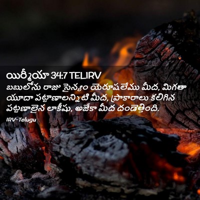 Picture 02 - యిర్మీయా 34:7 TELIRV - బబులోను రాజు - Bible Verse Picture