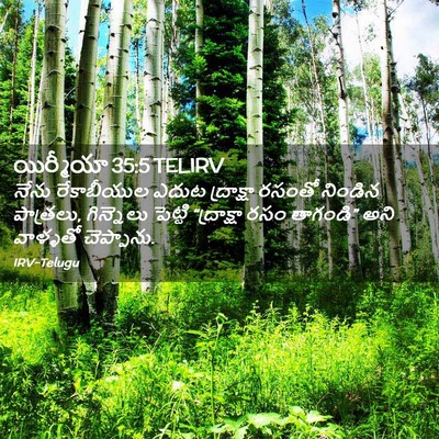 Picture 02 - యిర్మీయా 35:5 TELIRV - నేను రేకాబీయుల - Bible Verse Picture
