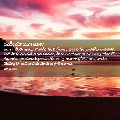 Picture 02 - యిర్మీయా 35:7 TELIRV - ఇంకా, ‘మీరు ఇళ్ళు - Bible Verse Picture