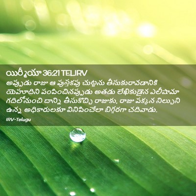 Picture 02 - యిర్మీయా 36:21 TELIRV - అప్పుడు రాజు ఆ - Bible Verse Picture