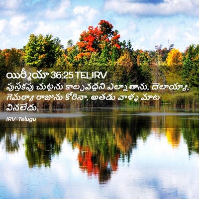 Picture 02 - యిర్మీయా 36:25 TELIRV - పుస్తకపు చుట్టను - Bible Verse Picture