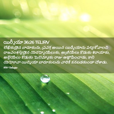 Picture 02 - యిర్మీయా 36:26 TELIRV - లేఖికుడైన - Bible Verse Picture