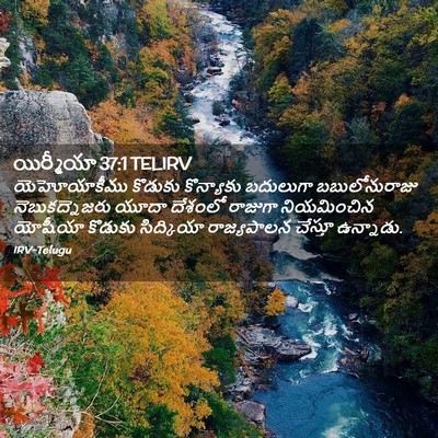 Picture 02 - యిర్మీయా 37:1 TELIRV - యెహోయాకీము కొడుకు - Bible Verse Picture