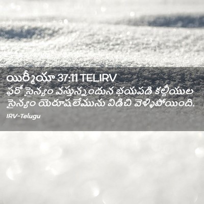 Picture 02 - యిర్మీయా 37:11 TELIRV - ఫరో సైన్యం - Bible Verse Picture