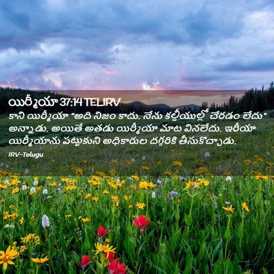 Picture 02 - యిర్మీయా 37:14 TELIRV - కాని యిర్మీయా - Bible Verse Picture