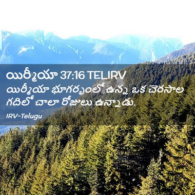 Picture 02 - యిర్మీయా 37:16 TELIRV - యిర్మీయా - Bible Verse Picture