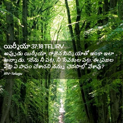 Picture 02 - యిర్మీయా 37:18 TELIRV - అప్పుడు యిర్మీయా, - Bible Verse Picture