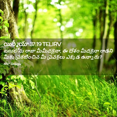 Picture 02 - యిర్మీయా 37:19 TELIRV - బబులోను రాజు - Bible Verse Picture