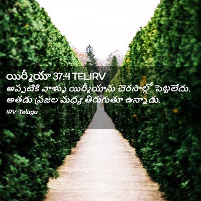 Picture 02 - యిర్మీయా 37:4 TELIRV - అప్పటికి వాళ్ళు - Bible Verse Picture
