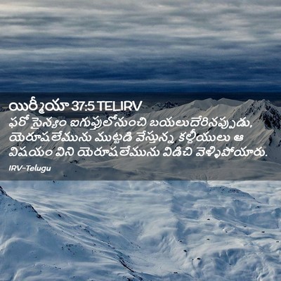 Picture 02 - యిర్మీయా 37:5 TELIRV - ఫరో సైన్యం - Bible Verse Picture