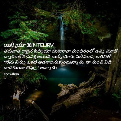 Picture 02 - యిర్మీయా 38:14 TELIRV - తరువాత రాజైన - Bible Verse Picture