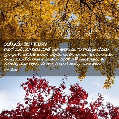Picture 02 - యిర్మీయా 38:17 TELIRV - కాబట్టి యిర్మీయా - Bible Verse Picture