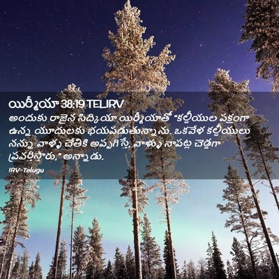 Picture 02 - యిర్మీయా 38:19 TELIRV - అందుకు రాజైన - Bible Verse Picture