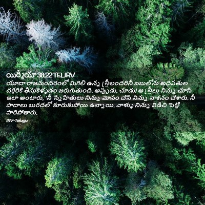 Picture 02 - యిర్మీయా 38:22 TELIRV - యూదా రాజమందిరంలో - Bible Verse Picture