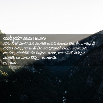 Picture 02 - యిర్మీయా 38:25 TELIRV - నేను నీతో - Bible Verse Picture