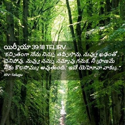 Picture 02 - యిర్మీయా 39:18 TELIRV - ‘కచ్చితంగా నేను - Bible Verse Picture