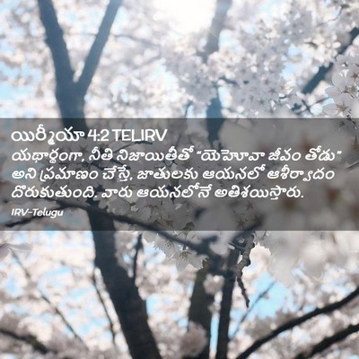 Picture 02 - యిర్మీయా 4:2 TELIRV - యథార్థంగా, నీతి - Bible Verse Picture