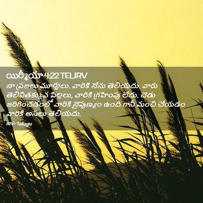 Picture 02 - యిర్మీయా 4:22 TELIRV - నా ప్రజలు - Bible Verse Picture