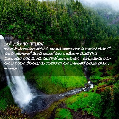 Picture 02 - యిర్మీయా 40:1 TELIRV - రాజదేహ సంరక్షకుల - Bible Verse Picture