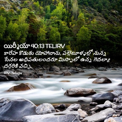 Picture 02 - యిర్మీయా 40:13 TELIRV - కారేహ కొడుకు - Bible Verse Picture