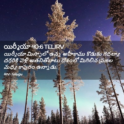 Picture 02 - యిర్మీయా 40:6 TELIRV - యిర్మీయా మిస్పాలో - Bible Verse Picture