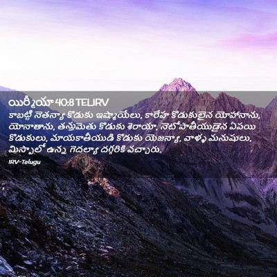 Picture 02 - యిర్మీయా 40:8 TELIRV - కాబట్టి నెతన్యా - Bible Verse Picture