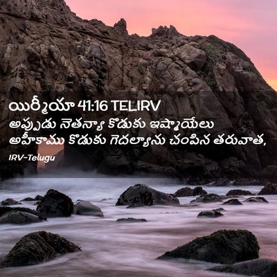 Picture 02 - యిర్మీయా 41:16 TELIRV - అప్పుడు నెతన్యా - Bible Verse Picture