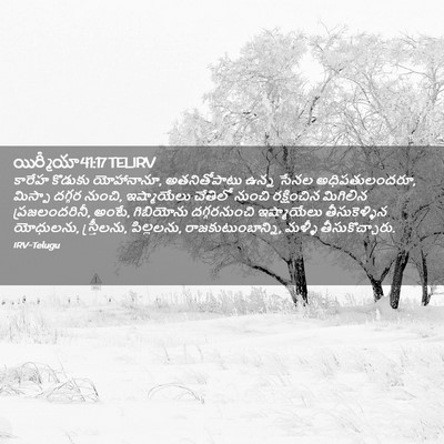 Picture 02 - యిర్మీయా 41:17 TELIRV - కారేహ కొడుకు - Bible Verse Picture