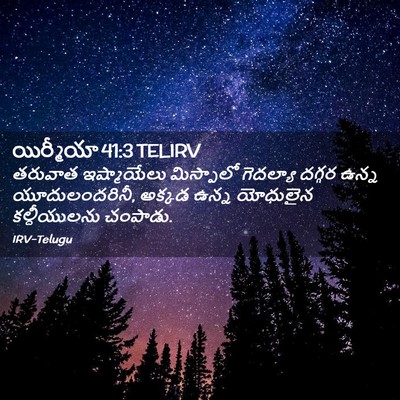 Picture 02 - యిర్మీయా 41:3 TELIRV - తరువాత ఇష్మాయేలు - Bible Verse Picture