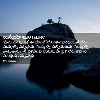 Picture 02 - యిర్మీయా 42:10 TELIRV - ‘మీరు వెనక్కి - Bible Verse Picture