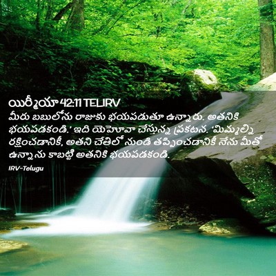 Picture 02 - యిర్మీయా 42:11 TELIRV - మీరు బబులోను - Bible Verse Picture