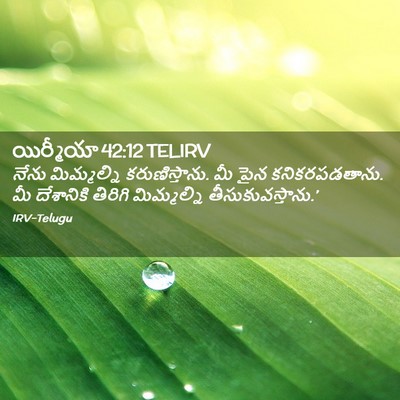 Picture 02 - యిర్మీయా 42:12 TELIRV - నేను మిమ్మల్ని - Bible Verse Picture
