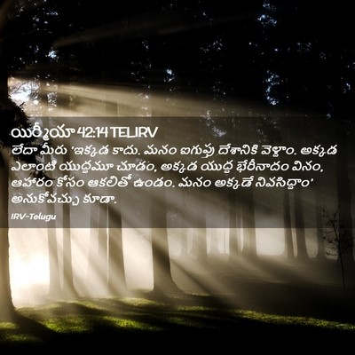 Picture 02 - యిర్మీయా 42:14 TELIRV - లేదా మీరు ‘ఇక్కడ - Bible Verse Picture