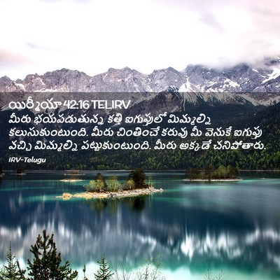 Picture 02 - యిర్మీయా 42:16 TELIRV - మీరు భయపడుతున్న - Bible Verse Picture