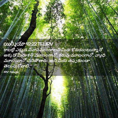 Picture 02 - యిర్మీయా 42:22 TELIRV - కాబట్టి ఎక్కడ - Bible Verse Picture