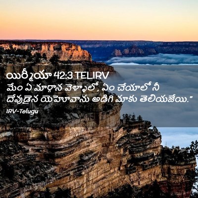 Picture 02 - యిర్మీయా 42:3 TELIRV - మేం ఏ మార్గాన - Bible Verse Picture