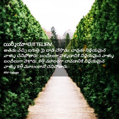 Picture 02 - యిర్మీయా 43:11 TELIRV - అతడు వచ్చి - Bible Verse Picture