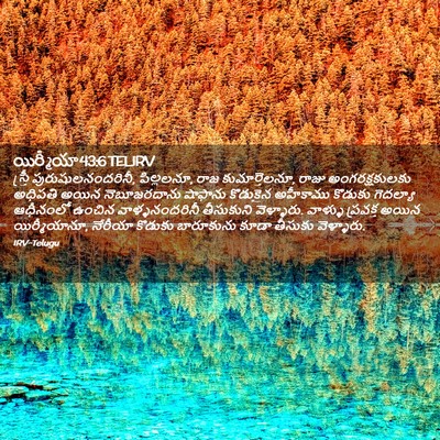 Picture 02 - యిర్మీయా 43:6 TELIRV - స్త్రీ - Bible Verse Picture