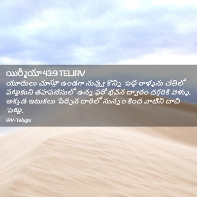Picture 02 - యిర్మీయా 43:9 TELIRV - యూదులు చూస్తూ - Bible Verse Picture
