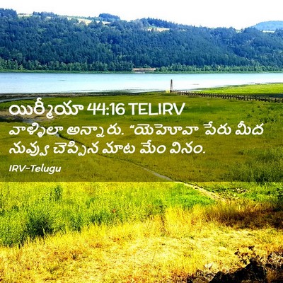Picture 02 - యిర్మీయా 44:16 TELIRV - వాళ్ళిలా అన్నారు. - Bible Verse Picture