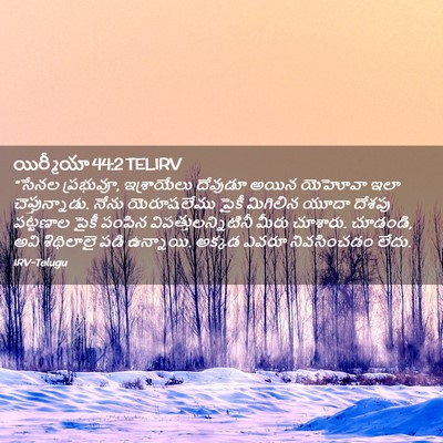 Picture 02 - యిర్మీయా 44:2 TELIRV - “సేనల ప్రభువూ, - Bible Verse Picture