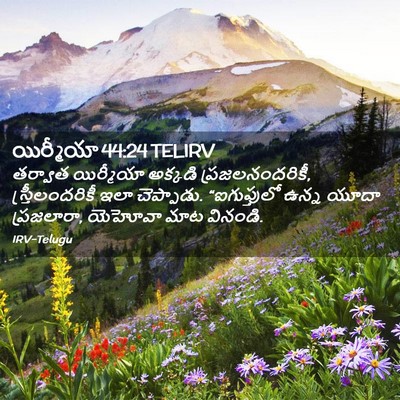 Picture 02 - యిర్మీయా 44:24 TELIRV - తర్వాత యిర్మీయా - Bible Verse Picture