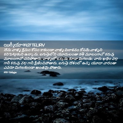 Picture 02 - యిర్మీయా 44:27 TELIRV - నేను వాళ్ళ క్షేమం - Bible Verse Picture