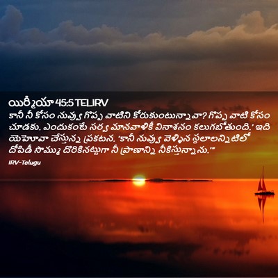 Picture 02 - యిర్మీయా 45:5 TELIRV - కానీ నీ కోసం - Bible Verse Picture