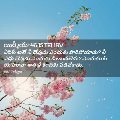 Picture 02 - యిర్మీయా 46:15 TELIRV - ఏపిస్ అనే నీ - Bible Verse Picture