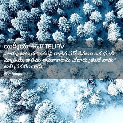 Picture 02 - యిర్మీయా 46:17 TELIRV - వాళ్ళు అక్కడ - Bible Verse Picture