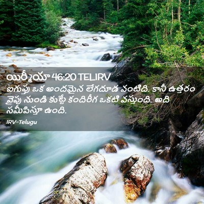 Picture 02 - యిర్మీయా 46:20 TELIRV - ఐగుప్తు ఒక అందమైన - Bible Verse Picture