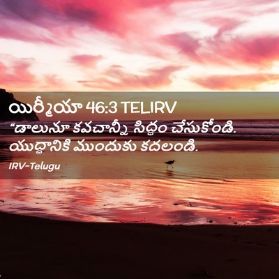 Picture 02 - యిర్మీయా 46:3 TELIRV - “డాలునూ కవచాన్నీ - Bible Verse Picture