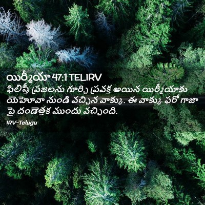 Picture 02 - యిర్మీయా 47:1 TELIRV - ఫిలిష్తీ ప్రజలను - Bible Verse Picture